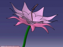 想到即可做到，catia里做出一朵花